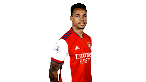 Celebrate London Sticker by Arsenal