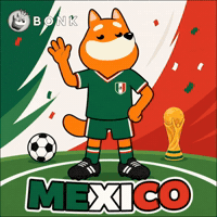 Crypto Mexico GIF by BONK