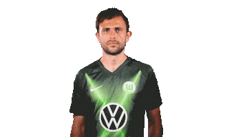 Admir Mehmedi Soccer Sticker by VfL Wolfsburg