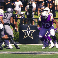 Lsu Football GIF by LSU Tigers