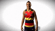randall GIF by Adelaide Crows