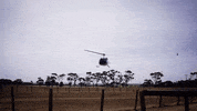 Wedding Groom GIF by Unbridely