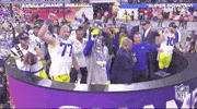 Super Bowl Football GIF by NFL