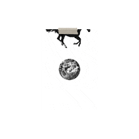 ainoawashere running moon horse dark Sticker