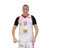 FoA_Naiset basketball hoops koripallo naisten korisliiga Sticker