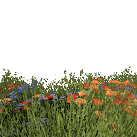 Summer Flower Sticker