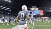 Football Nfl GIF by New England Patriots