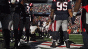 Football Nfl GIF by New England Patriots