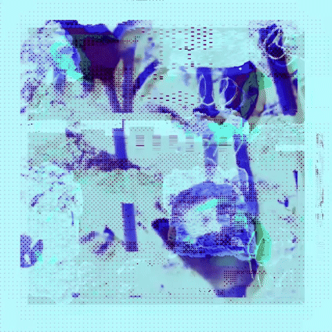 Stevesartandcacti glitch glitchart plant digitalart GIF