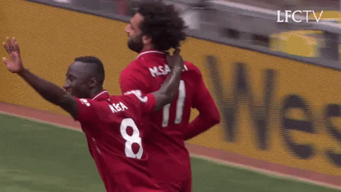 football soccer GIF by Liverpool FC