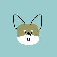 dog what GIF by CsaK