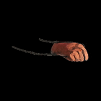 MUITEC muitec muiwow muionline GIF