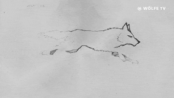 Soccer Bundesliga GIF by VfL Wolfsburg