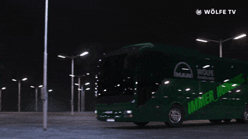 Soccer Bundesliga GIF by VfL Wolfsburg