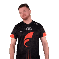 Fifa20 Whatever Sticker by STARK ESPORTS