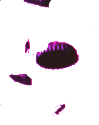 Television Glitch Sticker by Gisela Guzmán