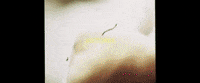 bangaldeshi-american GIF by Anik Khan