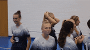 Wethebeach Virginiawesleyan GIF by VWU Marlins