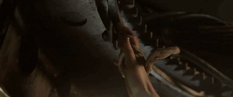 giphy.gif