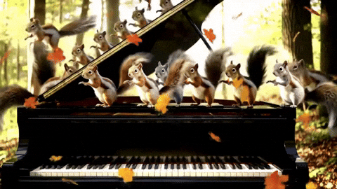 Squirrel Dance GIF by Studio Voisier