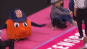 Flying Syracuse University GIF by TheDreamTeam 