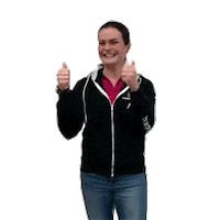 Daumen Hoch Thumbs Up Sticker by Happy Horse