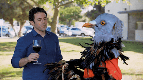 fred savage wine GIF by What Just Happened??!