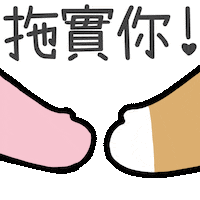 Mrshiba Sticker