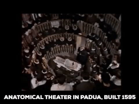 anatomical theater human dissection GIF