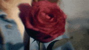 GIF by Johnny Orlando