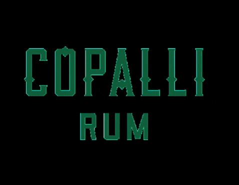 Nico10degreesC giphygifmaker cocktails rum belize GIF