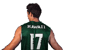 Usa Volleyball Sticker by Hawaii Athletics