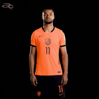 Fifa World Cup Uefa GIF by Respective