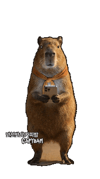 Surprise Omg Sticker