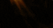 jon favreau disney GIF by Disney's The Jungle Book