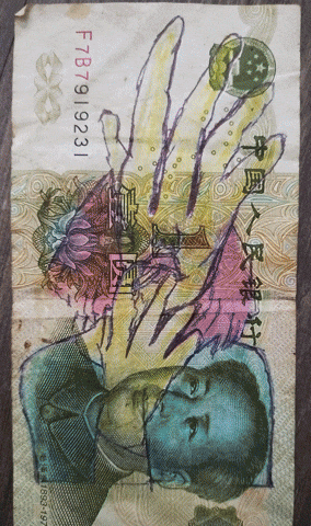 GIF by Dax Norman