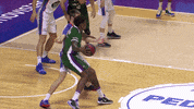 Liga Endesa Basketball GIF by ACB