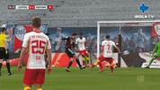 Happy Football GIF by MolaTV
