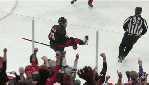 Happy National Hockey League GIF by NHL
