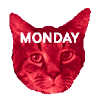 Cat Rainbow Sticker