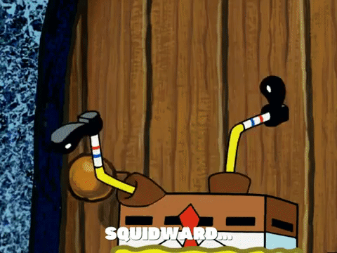 season 5 GIF by SpongeBob SquarePants