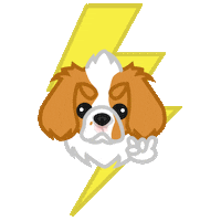 Dashdanger Sticker