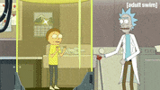 Season 3 Episode 308 GIF by Rick and Morty