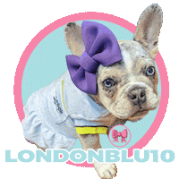 French Bulldog Sticker by Pimp Yo Pets