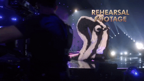 Skunk GIF by The Masked Singer