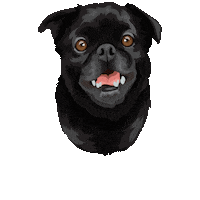 Lunacooper Sticker by Pickle's Pawtraits