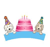 Pancakeandwaffles dog birthday dog collar birthday dog happy birthday dog Sticker