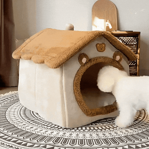 GIF animé