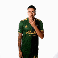 Portland Timbers Sport GIF by Timbers