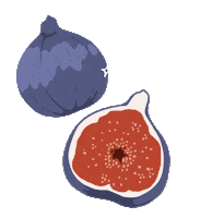 Fall Fruit Sticker by molehill